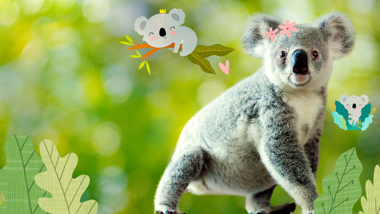 Watch Izzy's Koala World | Netflix Official Site