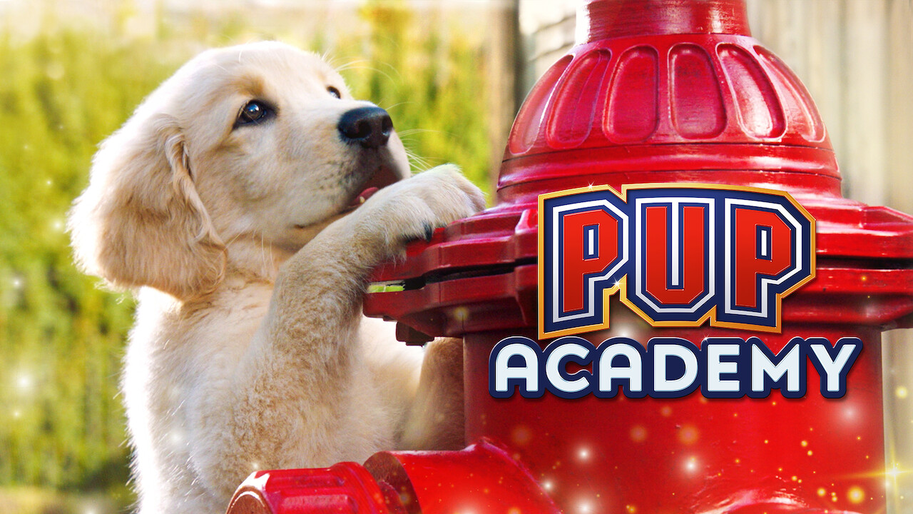 what is pup macbooster